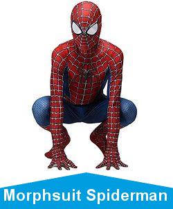 Costume Spiderman Adulte,Deguisement Spiderman Homme Femme Carnaval D\'halloween Cosplay Spiderman Costume Homecoming Costume Film Masque,Spandex/Lycra